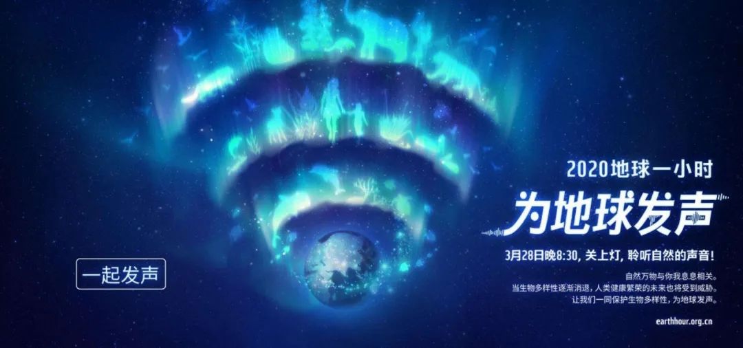 環(huán)保進(jìn)行時(shí) | 華洲木業(yè)，用行動(dòng)為地球發(fā)聲(圖1)