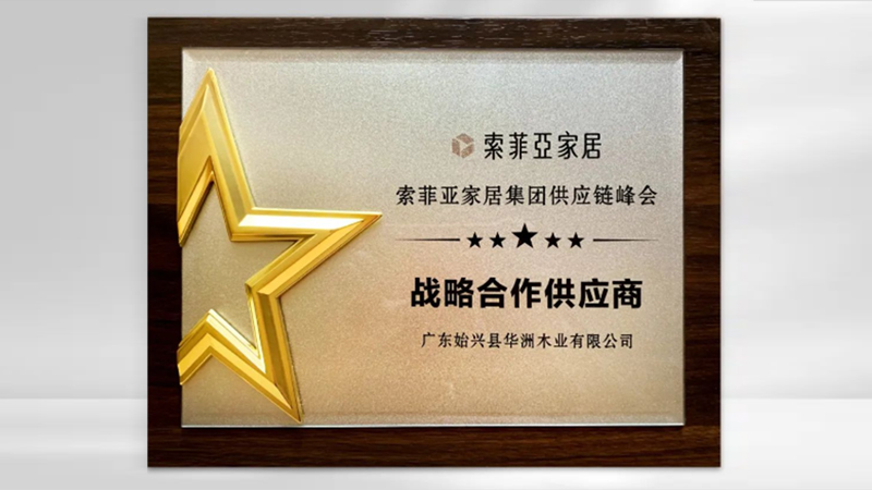 【品牌實(shí)力】華洲：創(chuàng)新引領(lǐng)，品質(zhì)鑄就傳奇(圖5)