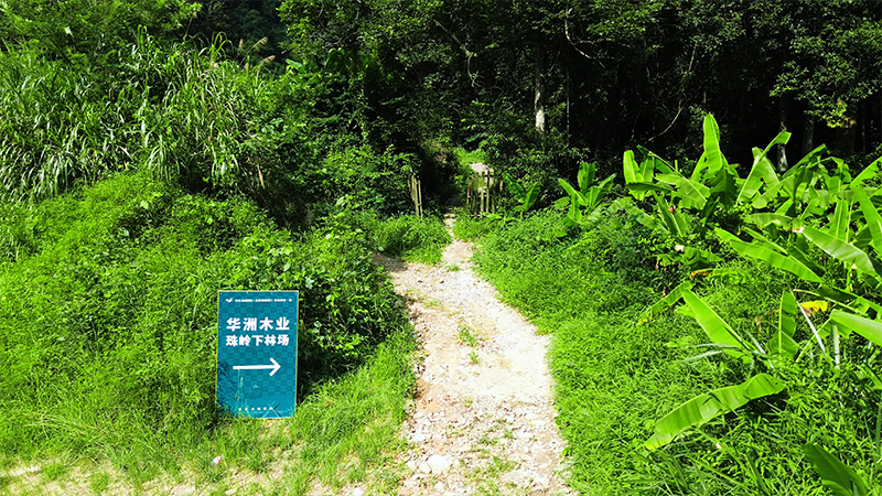 嚴(yán)格選材，只為一張好板材！(圖1)